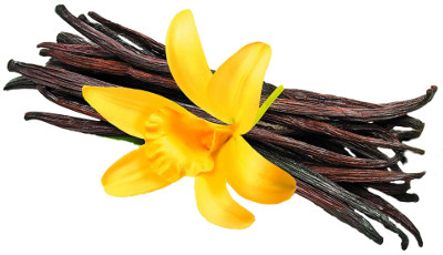 graphic of vanilla pods and flower